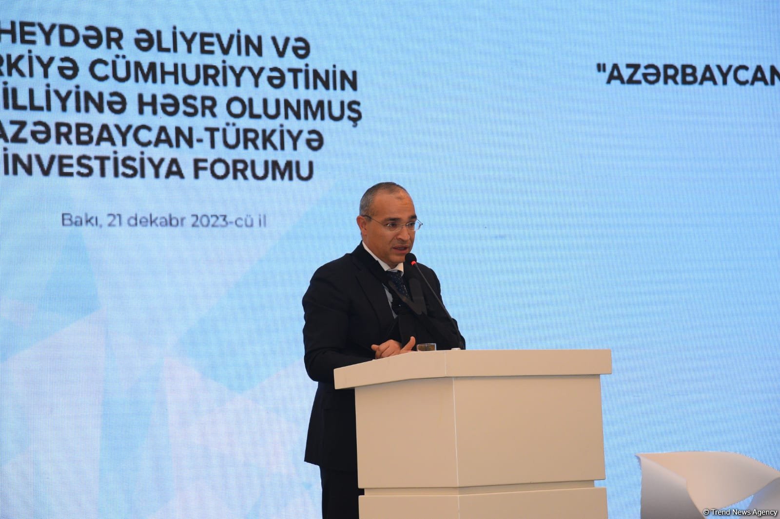 Azerbaijani minister announces promising areas of cooperation with Türkiye
