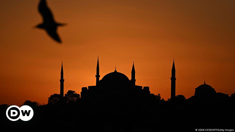 Turkey seeks to crack down on organized crime - DW (English)