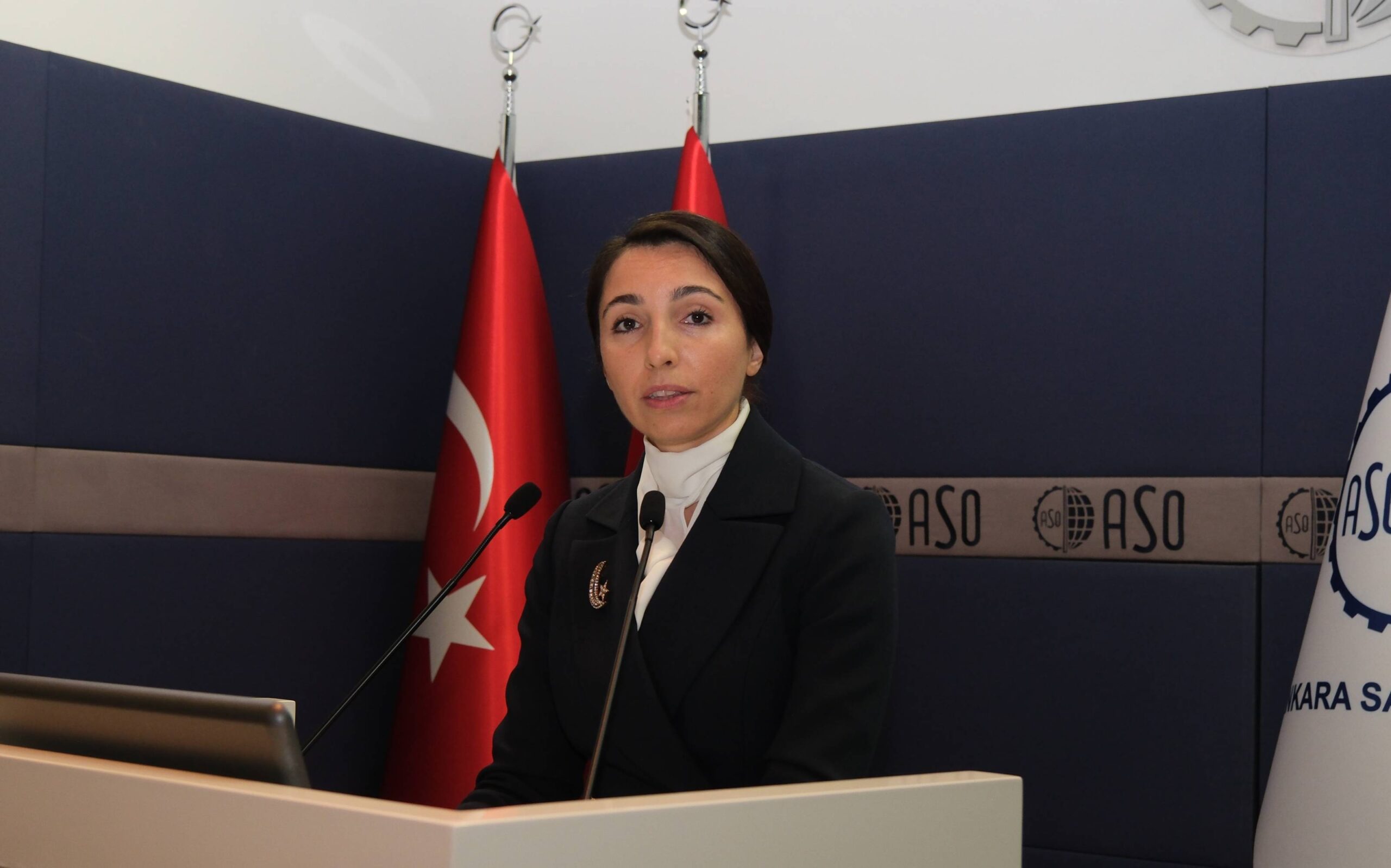 Turkey's Central Bank governor reveals she 'lives with mother' due to excessive rental prices in İstanbul - bianet