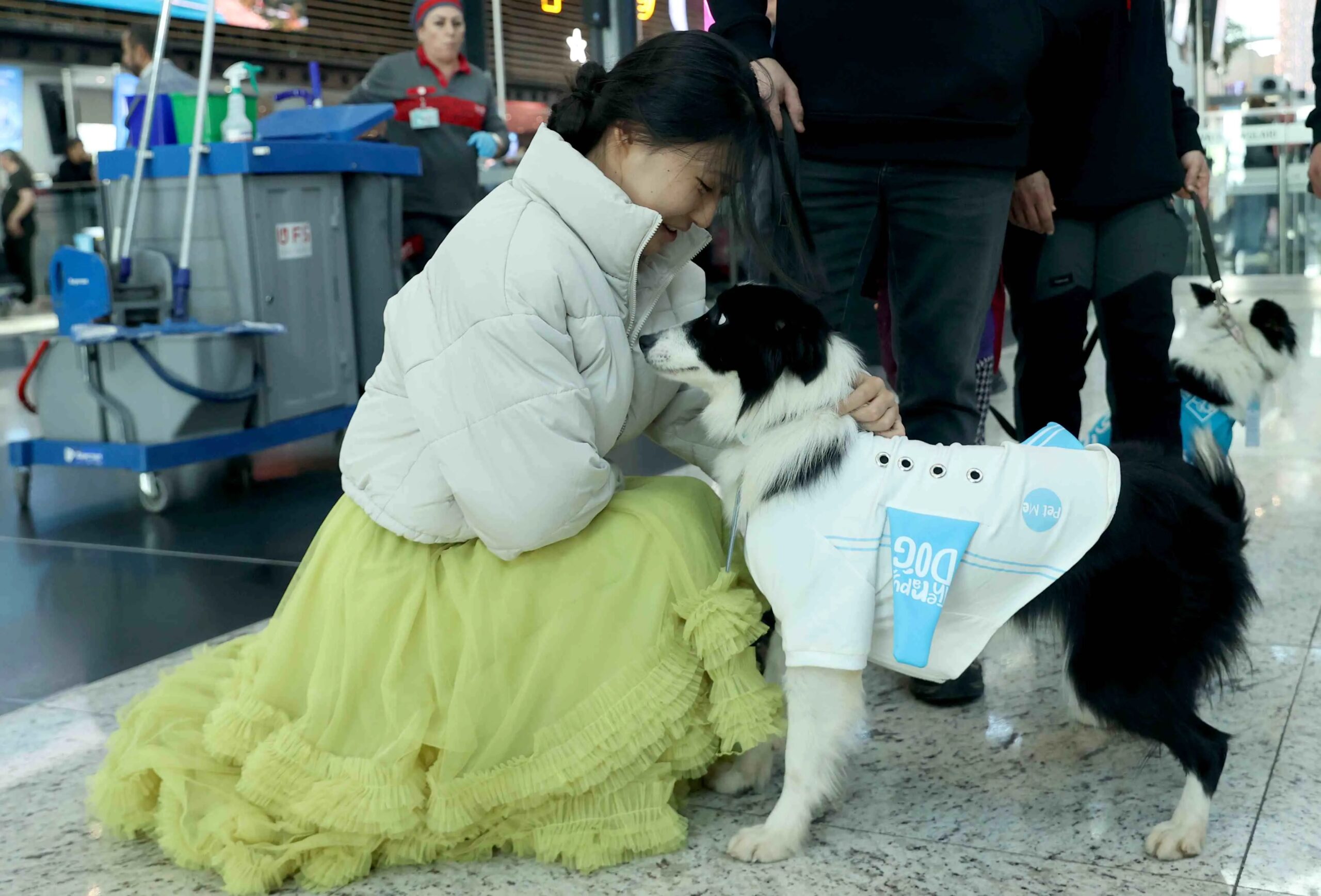 Istanbul Airport launches 'Dog Therapy Project' to ease passengers with flight anxiety - Türkiye Newspaper