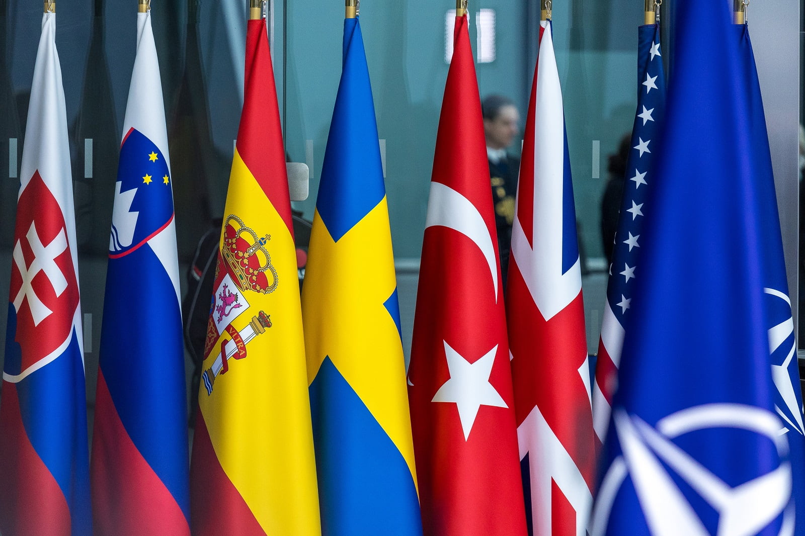 The ripple effects of NATO expansion - The Interpreter