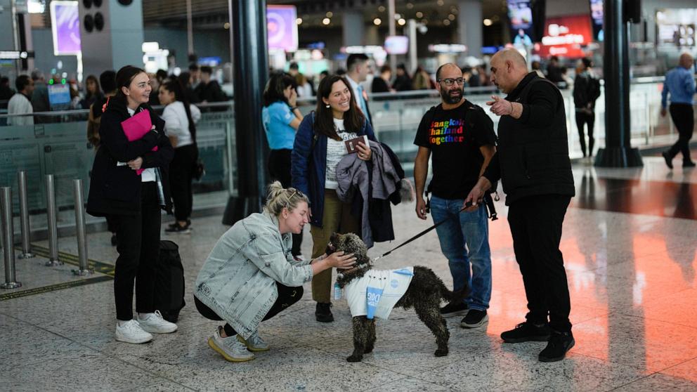 Istanbul airport provides anxious travelers with paw-sitive experience by hiring 5 therapy dogs - ABC News