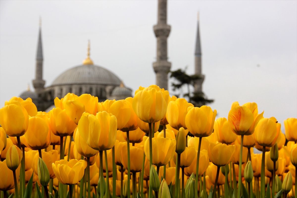 Istanbul welcomes Eid al-Fitr with art, tradition, tulip-filled parks - Türkiye Newspaper