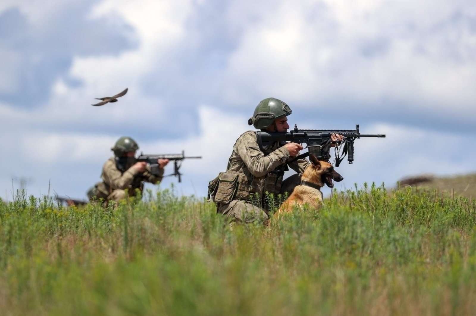 Türkiye, Kuzey Suriye’de 7 YPG/PKK teröristini etkisiz hale getirdi | Daily Sabah